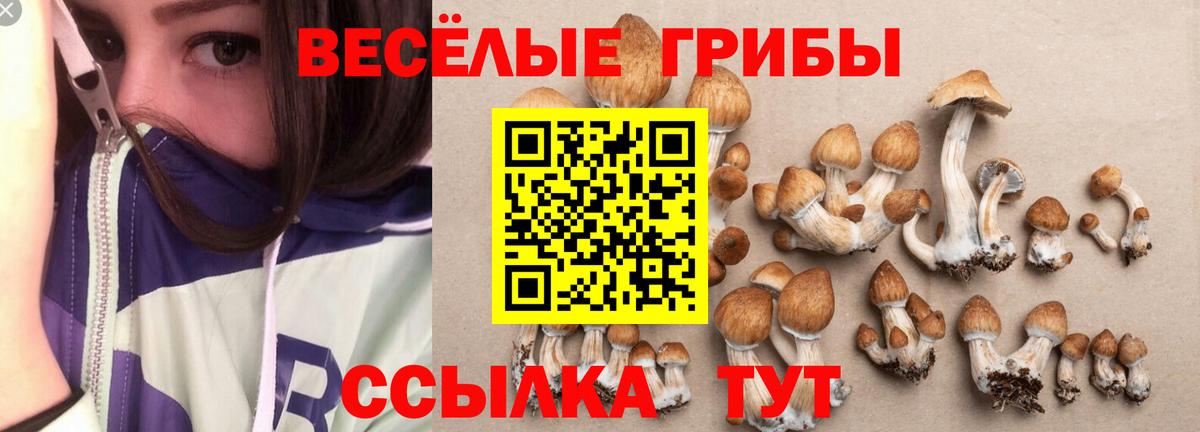 Дальнегорск  Псилоцибиновые грибы мицелий  магазин    Галлюциногенные грибы GOLDEN TEACHER  Вход с VPN 